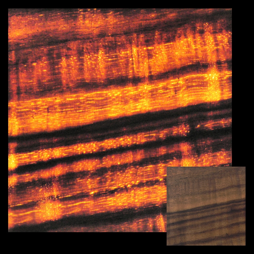 Ausschnitt LED Tisch Lightwood - exclusiv Schwarznuss